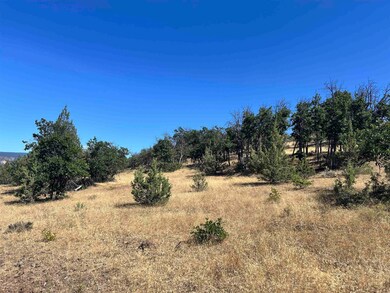 Unit 5 Lot #103 Greenfinch Way unit 5, Hornbrook, CA 96064 - photo 3