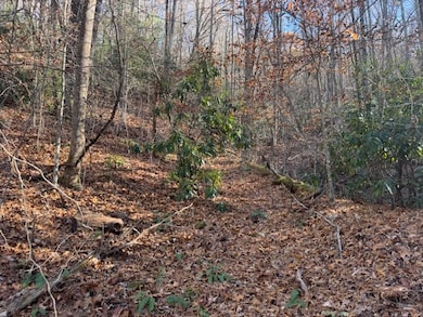 68 Acres Ponderosa Rd, Rabun Gap, GA 30568 - photo 4