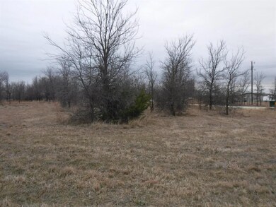 19 & 20 Roark Dr, Decatur, TX 76234 - photo 3