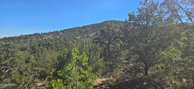 20202016t No Name Rd, Williams, AZ 86046 - photo 3