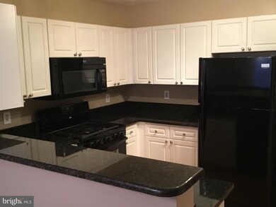 Savoy Park unit 213, Falls Church, VA 22041 - photo 2