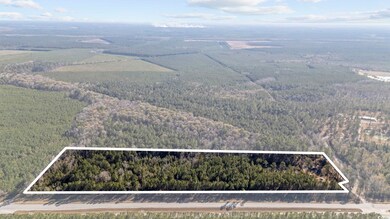 705 Catclaw Rd, Andrews, SC 29510 - photo 7