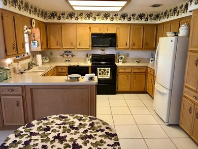 311 Diana Dr, Alamo, TX 78516 - photo 4