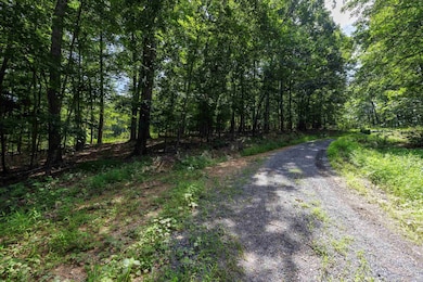 Tbd Brunk Spring Ln, Broadway, VA 22815 - photo 5