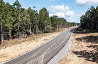 0 Waterwheel Way unit 1500202, Jasper, TN 37347 - photo 5