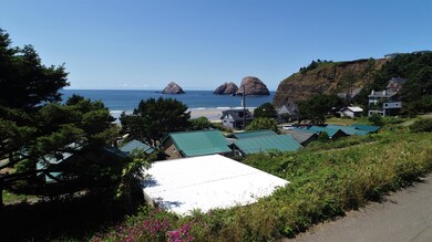 NW View