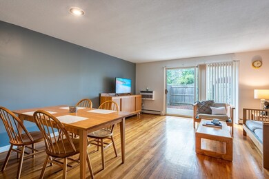 6 Webster Ct, Amherst, MA 01002 - photo 4