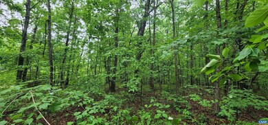 0 Doctors Rd unit 631009, Louisa, VA 23093 - photo 3