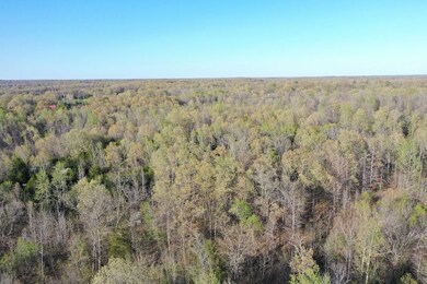0 Tbd Engelberg Rd unit LotWP001, Pocahontas, AR 72455 - photo 6