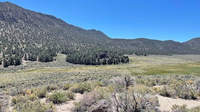 0 Benton Crossing Rd unit 5 250573, Benton, CA 93512 - photo 6