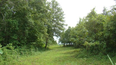 DSC03570