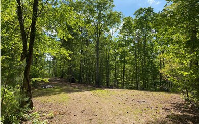 Additional View