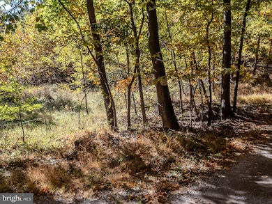 0 Tuscarora Pike Parcel 14, Martinsburg, WV 25403 - photo 4