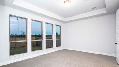 1246 Wandering Brook St, Magnolia, TX 77354 - photo 4