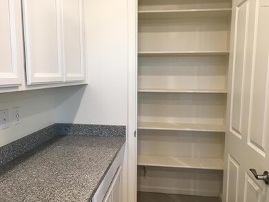 Kitchen Pantry closet