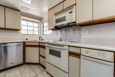 Mountain View-010