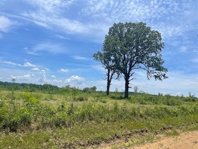 0 COLEMAN ROAD 10 ACRES MATURE TREES
