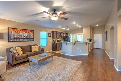 Living and Kitchen