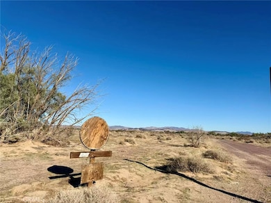 32467 Lakeview Ave, Newberry Springs, CA 92365 - photo 3