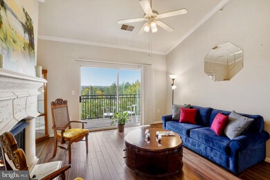 12917 Centre Park Cir unit 417, Herndon, VA 20171 - photo 7