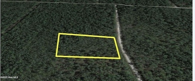 931 Mallard, Southport, NC 28461 - photo 3