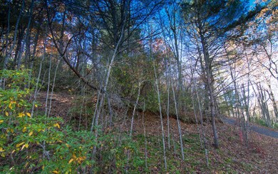 Additional View
