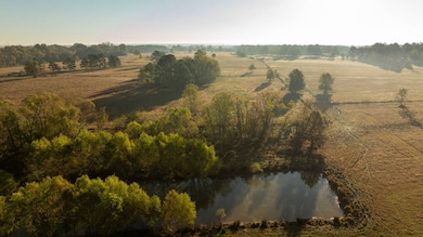 00 Vaughan Ln, Morton, MS 39117 - photo 3