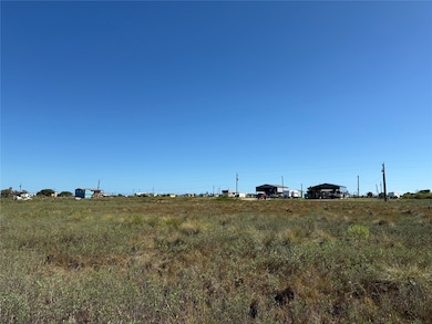 318 Merganser St, Sargent, TX 77414 - photo 5