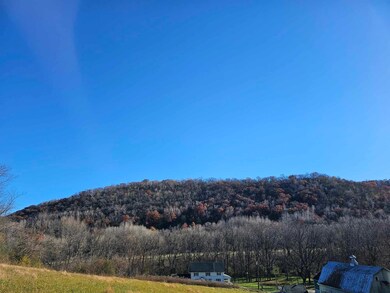 xxxx Braeburn Rd, Wilson Township, MN 55987 - photo 6