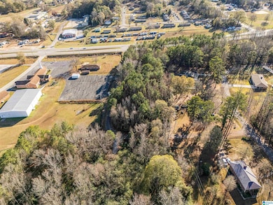 0 Northside Dr, Piedmont, AL 36272 - photo 4