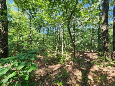 0 Conbanna S D unit 134480, Buchanan, TN 38221 - photo 5