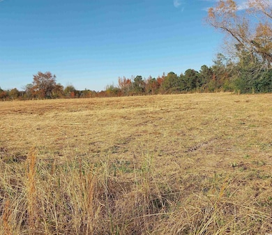 lot 1 Davis Ln, Mullins, SC 29574 - photo 6