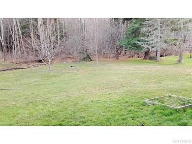 Backyard.