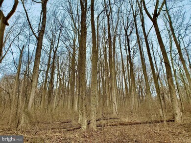 0 Harris Hollow Rd unit VARP107798, Washington, VA 22747 - photo 6