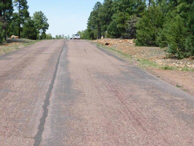 3436 Ponderosa Loop (1)