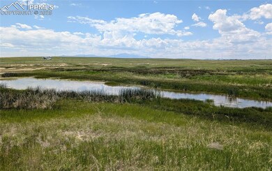 Walking your own property offers Pikes Peak views from the vast majority of the 35 acrers.