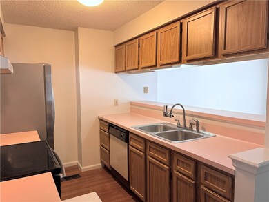 Kitchen Cabinets / Sink