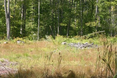 0 Buffam Rd, Pelham, MA 01002 - photo 5