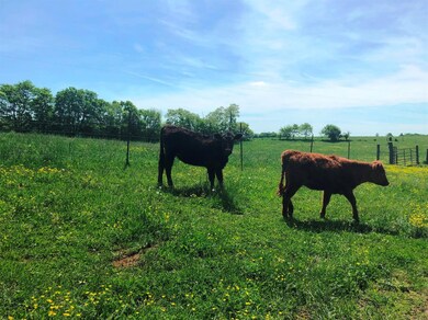 4535 Lexington Rd, Harrodsburg, KY 40330 - photo 3