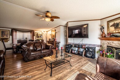 950 Natane Ave, Farmington, NM 87401 - photo 6