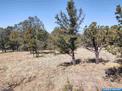 0 Fotis Rd, Silver City, NM 88061 - photo 4