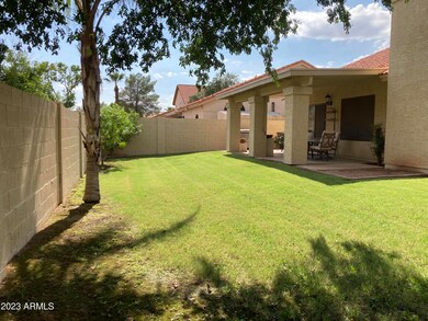 BACKYARD 2