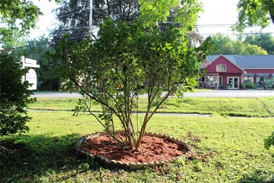 Easy to maintain yard