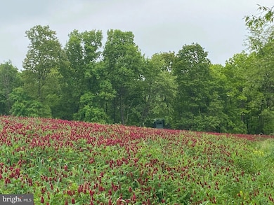 0 Llama Ln, Licking Creek Township, PA 17238 - photo 3