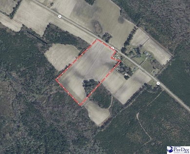 0 S Carolina 9, Nichols, SC 29581 - photo 6