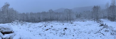 snow