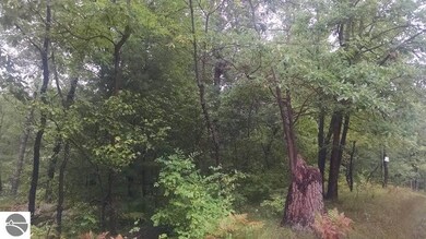 . N Walnut, Bitely, MI 49309 - photo 3