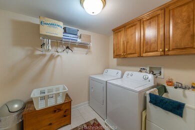 206 N Water St unit 102, Batavia, IL 60510 - photo 5