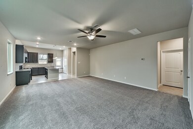 21307 Barcelona Heights Trail, Hockley, TX 77377 - photo 4