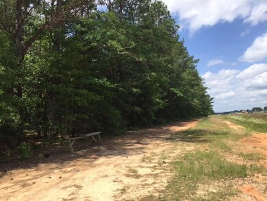 Hwy 84 W, Laurel